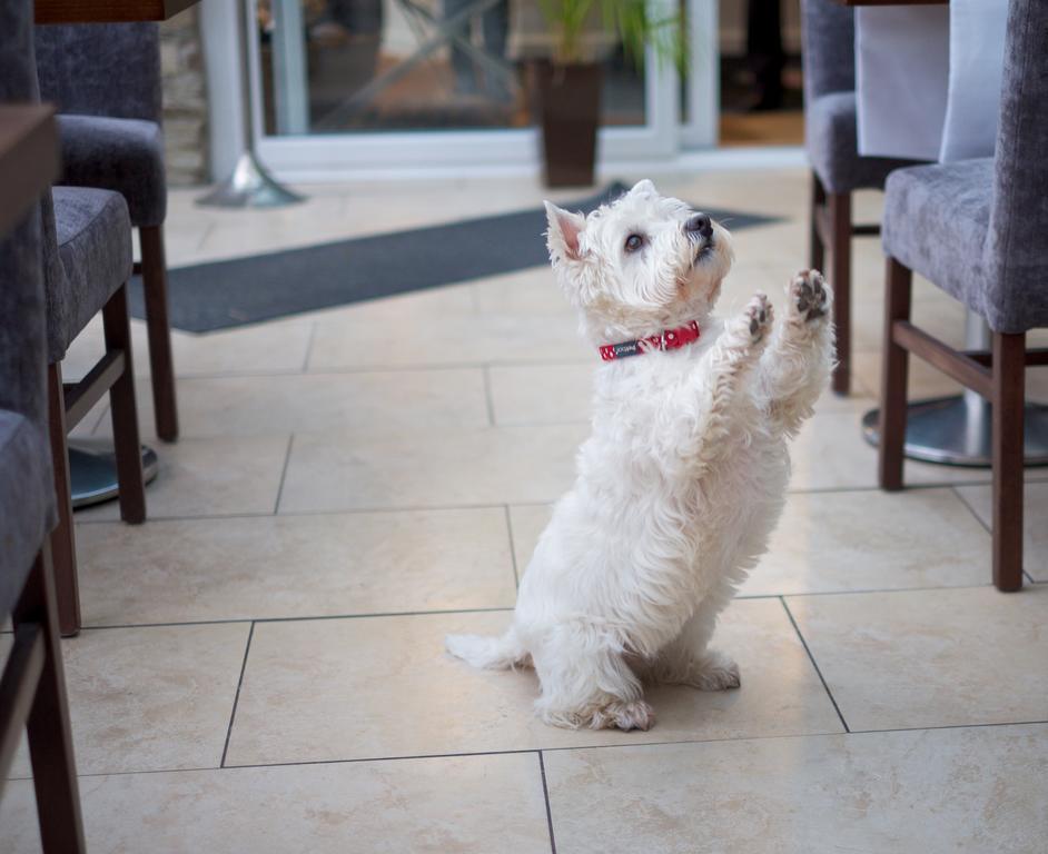 Talland Bay Hotel, Looe Luaran gambar