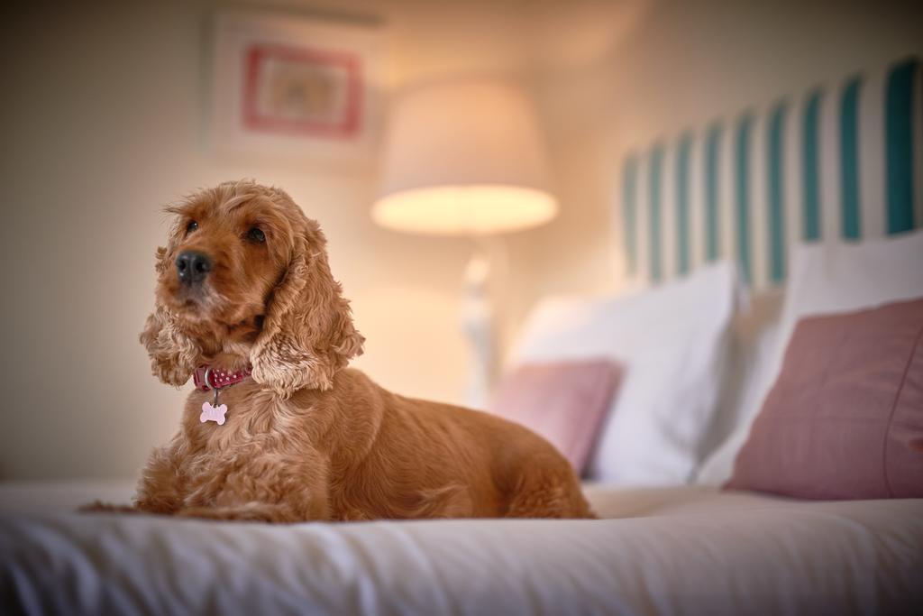 Talland Bay Hotel, Looe Luaran gambar